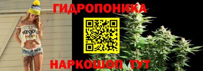 PSILOCYBIN Славгород