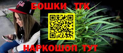 гашик Сланцы