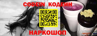 гашик Сланцы