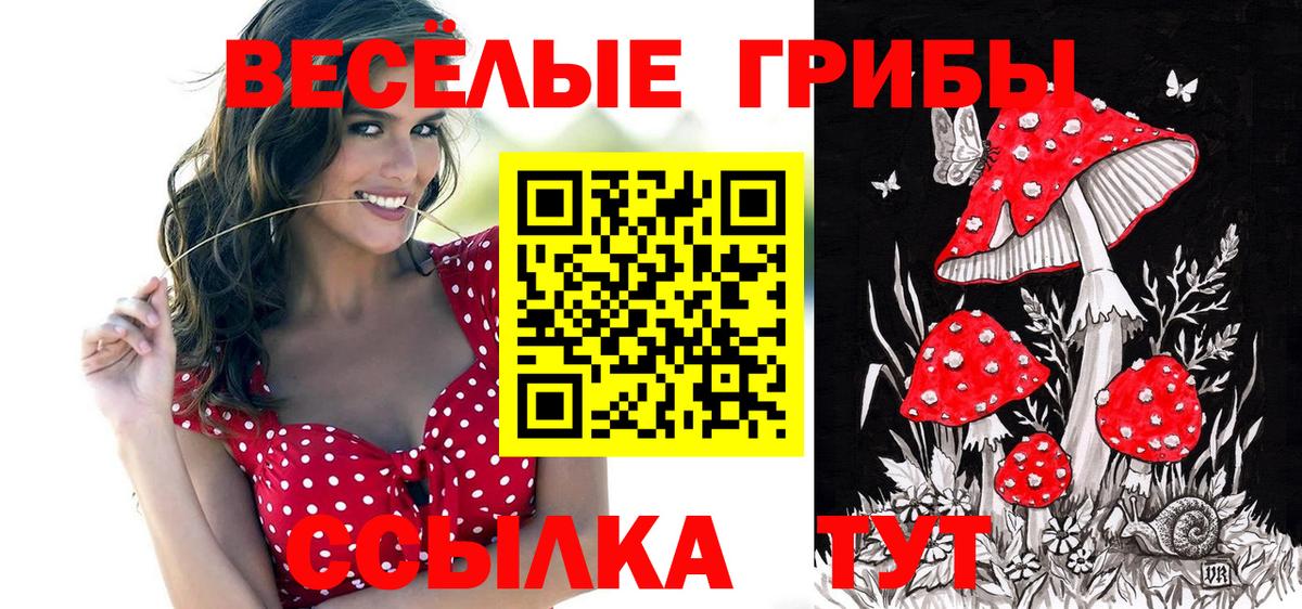Галлюциногенные грибы Psilocybe  Галлюциногенные грибы мицелий  Вход с VPN  Баксан 
